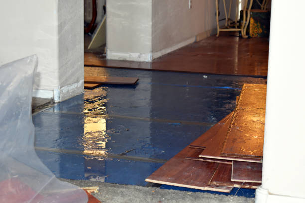 Professional Water Damage technician working in Brownsboro, TX